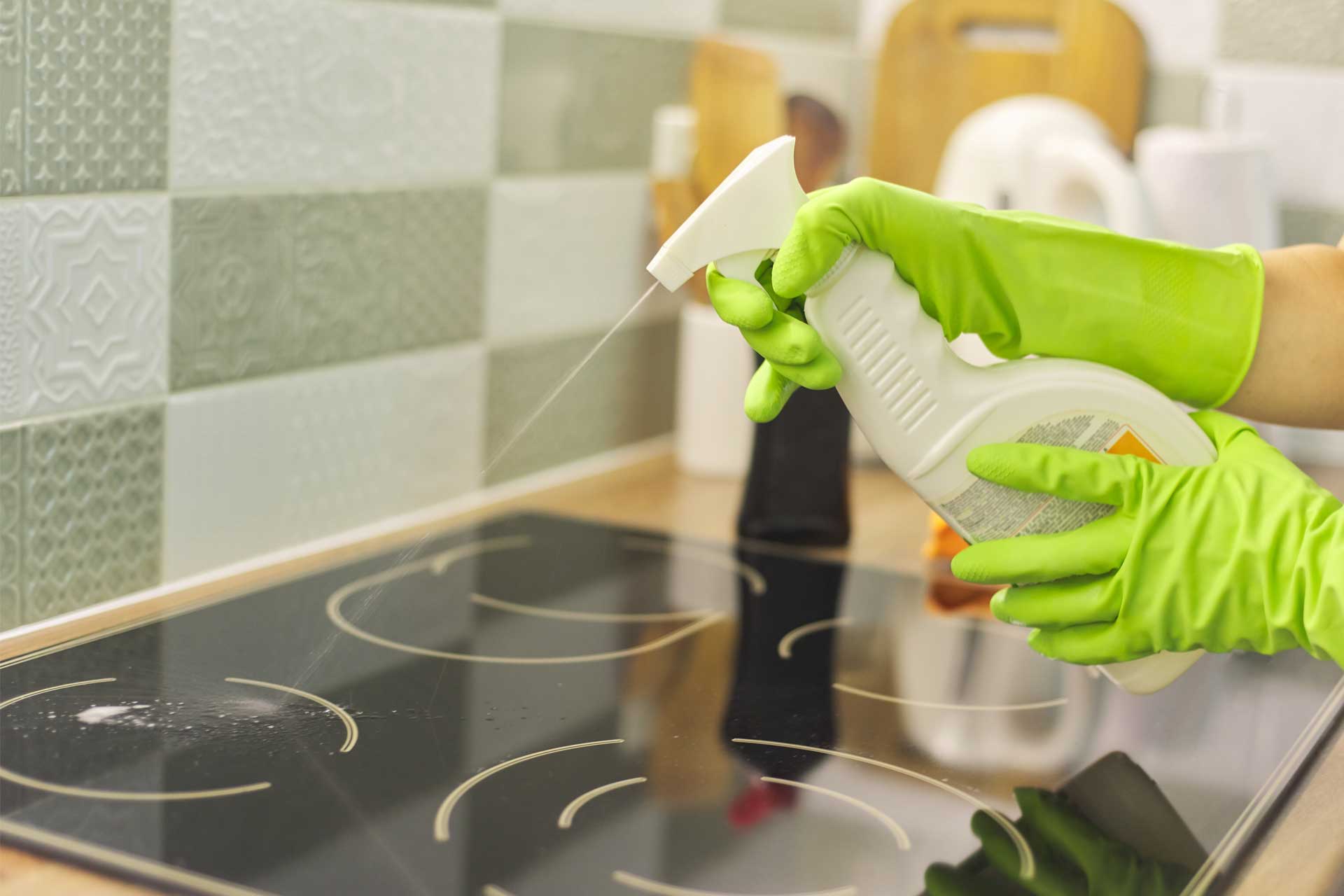 About Us | Atlanta Home Cleaning Services | Lisa's Natural Home Cleaning